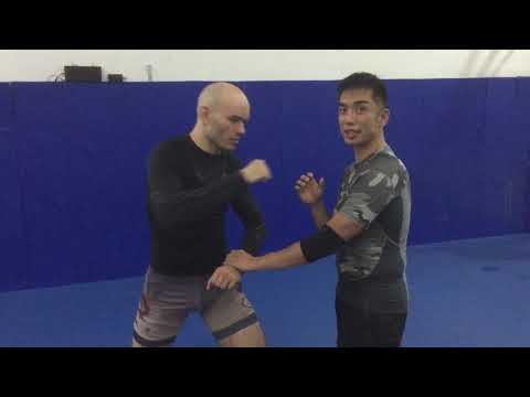 Bagua Zhang Kung Fu concepts for MMA