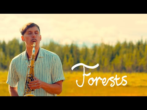 Martin "Bear Garden" Wirén - Forests (Official Music Video)