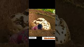 Download lagu सोनेका पत्थर | Journey 2 mysterious Island full movie explained in Hindi #shorts #journey2 mp3