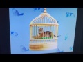 Elmo S World Pets Quiz
