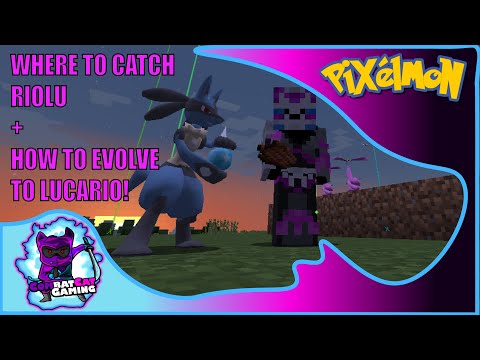 HOW TO CATCH RIOLU + HOW TO EVOLVE INTO LUCARIO - PIXELMON