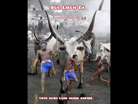 Young Nation Talented boys