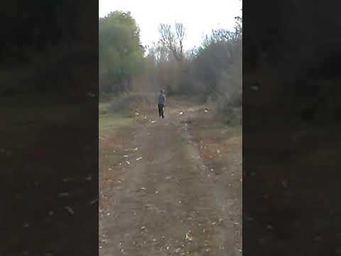 Prinde Mitica băieți la pescuit