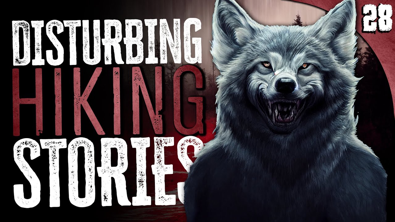 28 True Hiking in the Woods HORROR Stories (COMPILATION)