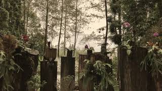 NOWNESS. Fionn Regan - The Underwood Typewriter