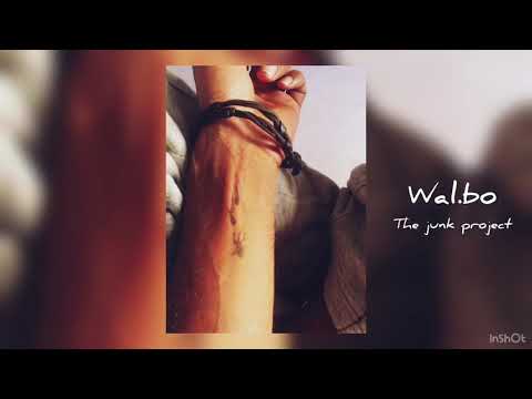 Metamorphosis_Wal.bo_ the junk project (album)