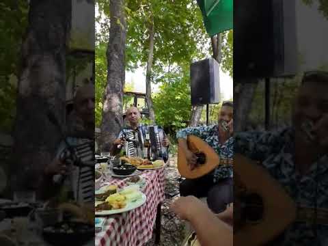 Ustallaret - Shaban Cela Rafaeli Artur Yzeiri Moli - Ciftetel - Harem X Qef Live 2022