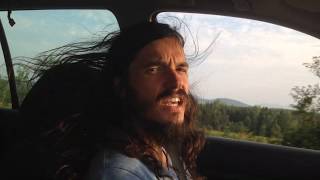 Les pommiers envahis