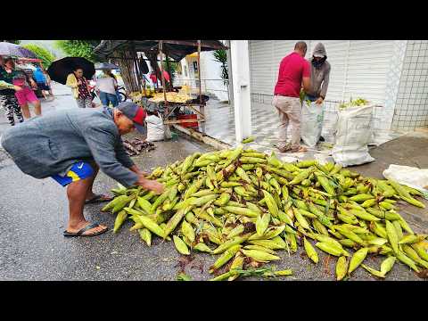 CHUVA, MILHO E FEIJÃO MADURO EM PANELAS-PE