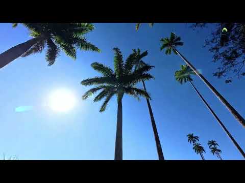 QUISSAMÃ - Bela como sempre.