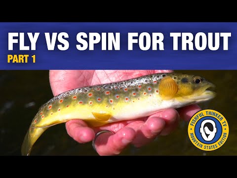 Compare and Contrast - Fly vs Spin Part 1/3  (fly fishing, spin fishing, trout)