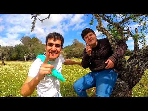 SIGUES TU - Lo Pau de Ponts ft. Miquel Montoro