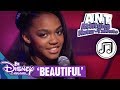 Beautiful A N T Songs