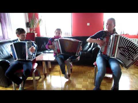 Vaja harmonike pri Pii