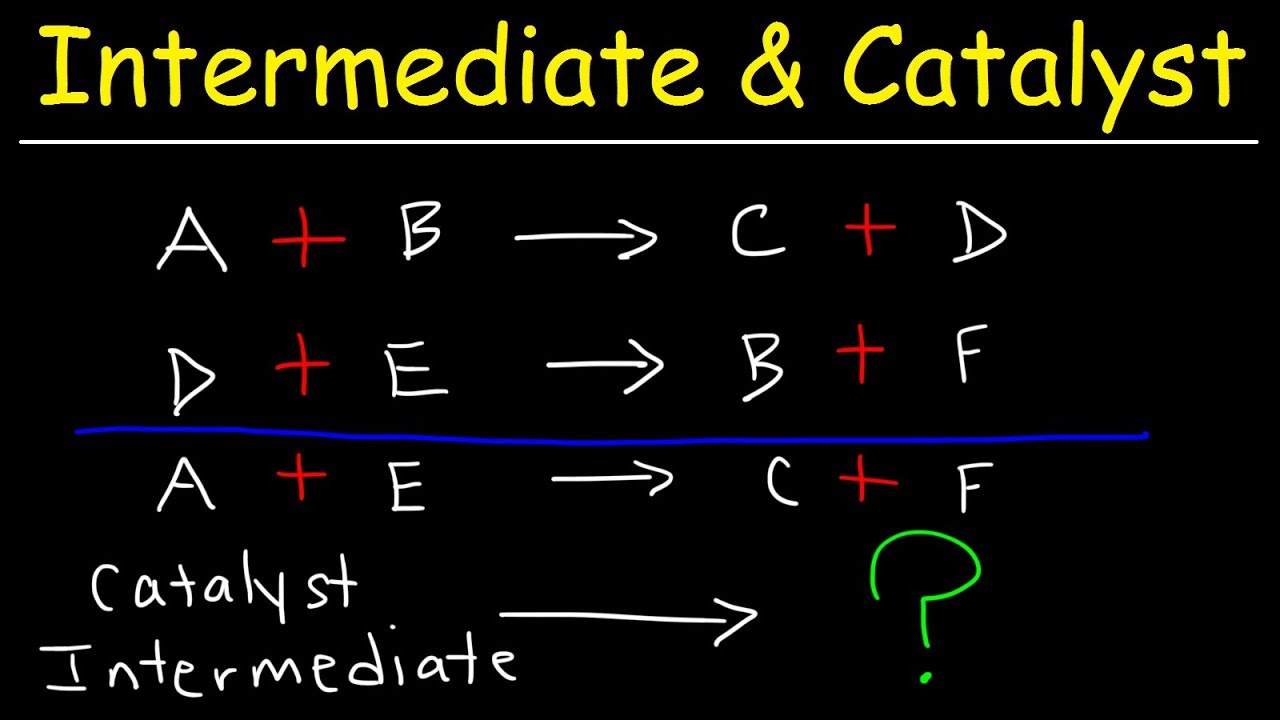 What Does Intermediate Mean In Chemistry Tipseri what-does-intermediate-mean-in-chemistry-tipseri