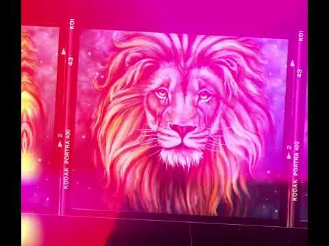 El León 🦁FT_ El patrón del West (Riddim Boys)