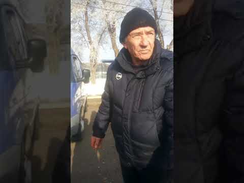 '' ВЫСТАВКА ГОЛУБЕЙ В САЛЬСКЕ '' 24..11..18