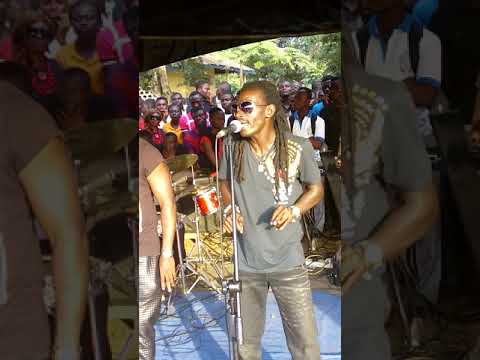 Mega B. live performance