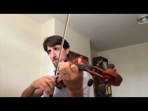 Concerto in C min by Casadesus (J. C. Bach style) 1st mov challenging sections - Suzuki Viola Book 6