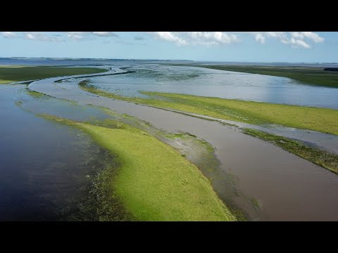 Arroyo y Laguna de Rocha - #rocha  #uruguay