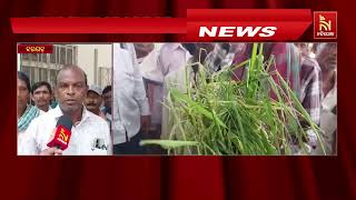 ବରଗଡ଼ ବରଗାଁର ଶତାଧିକ ଚାଷୀ କ୍ଷତି ହୋଇଥିବା ଧାନ କେଣ୍ଡା ଧର