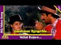 Vellai Rojave Video Song | Nanbargal Tamil Movie Songs | Neeraj | Mamta Kulkarni | Vivek