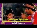 Vellai Rojave Video Song Nanbargal Tamil Movie Songs Neeraj Mamta Kulkarni Vivek