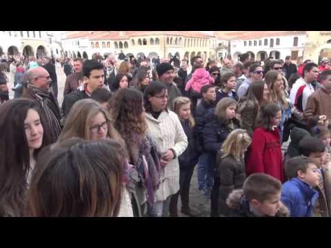 Misa, bendición de los animales y juegos.