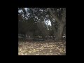 (free) sad ambient type beat "echoes"