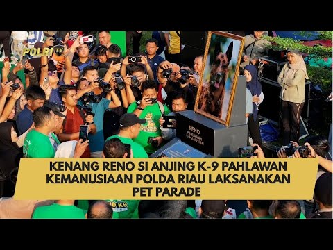 KENANG RENO SI ANJING K-9 PAHLAWAN KEMANUSIAAN POLDA RIAU LAKSANAKAN PET PARADE