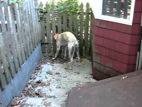 Ariadne meets the gang from a safe distance.