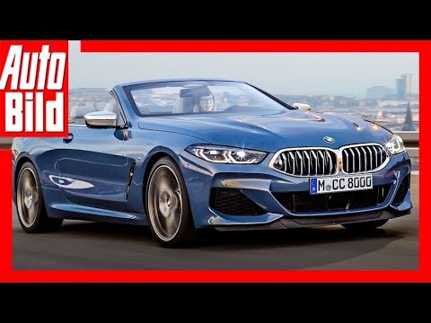 BMW 8 Series Convertible (2019) Details/Explanation