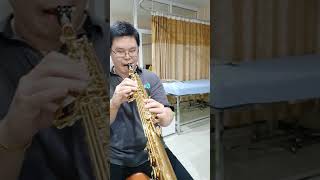 Emily (Dave Koz) - Yanagisawa S-992 Dukoff D8