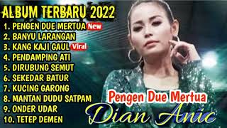 Download lagu Pengen Duwe Mertua Dian Anic full album terbaru viral || full album terbaru 2022 mp3 Download lagu Pengen Duwe Mertua Dian Anic full album terbaru viral || full album terbaru 2022 mp3