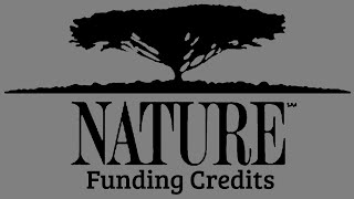Nature Funding Credits Compilation (1982-present) 