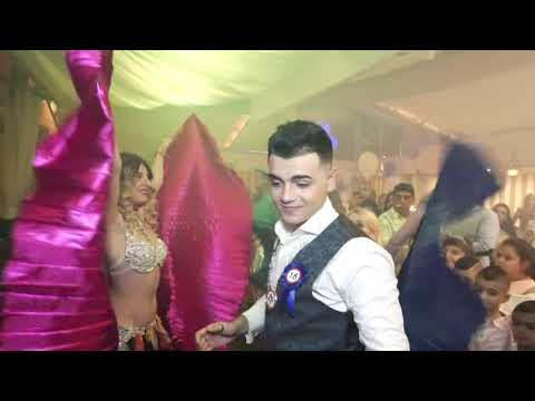 Robertovo Punoletstvo 2018.ORK Aca Nikolic Brajic i Marko Sabanovic-2/1