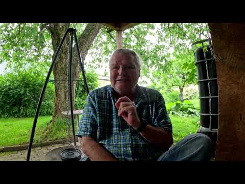 Demokratie ganz einfach erklärt