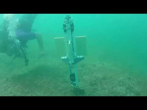 Internal Waves and Lagrangian Float