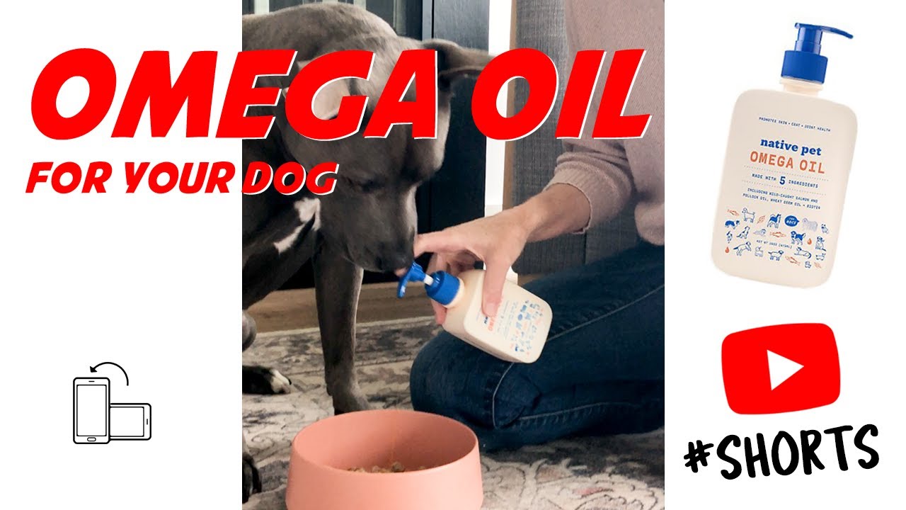Omega Oil For Dogs