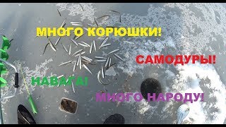 Ссылка
