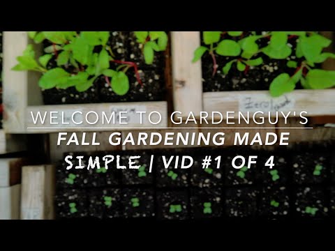 , title : 'Fall Gardening | Made Simple #1'