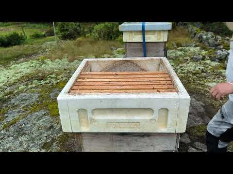 2/8 snabb-skattning på 8 minuter utan bi-tömmare 🙂 