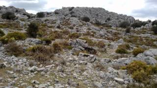 GRAZALEMA A MIGUEL HERNANDEZ