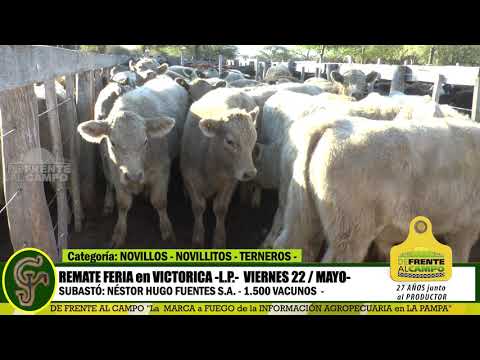 DE FRENTE AL CAMPO junto al SECTOR PRODUCTIVO -REMATE NHF SA - VIERNES 22/MAYO - PARTE 3-