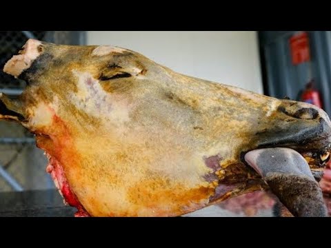 Yiga Okufumba Enva Zo'Mutwe Gw'Ente | Delicious Ugandan Cow Head Soup - Beef Stew