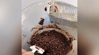 TXOKOLATEZKO TURROIA