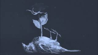 The Pineapple Thief - The Final Thing On My Mind