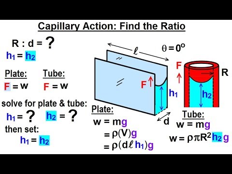 Physics Ch 33A Test Your Knowledge Fluid Statics 1 of 43 Pressure with Acceleration