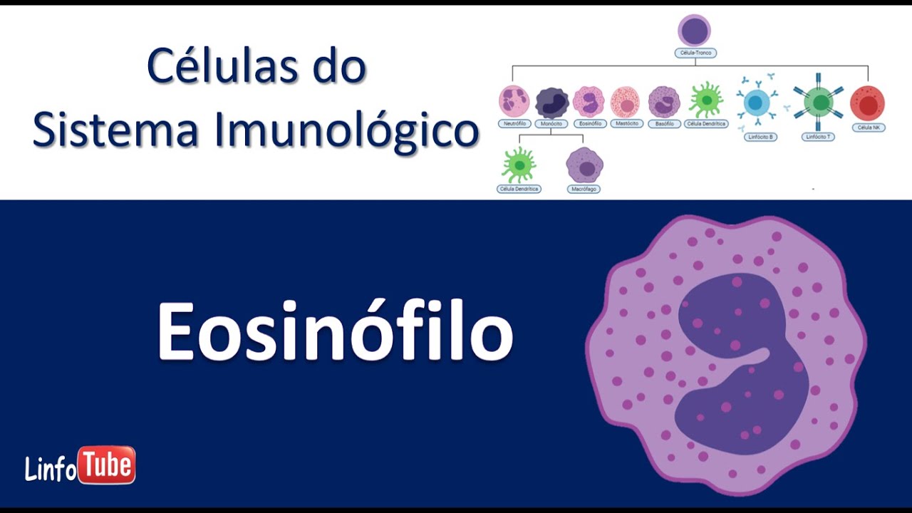 Eosinófilo