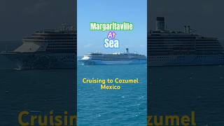 Margaritaville at Sea. Cruising from Port Tampa Bay Fl. Jan 2026 #margaritavilleatsea #cruiseship